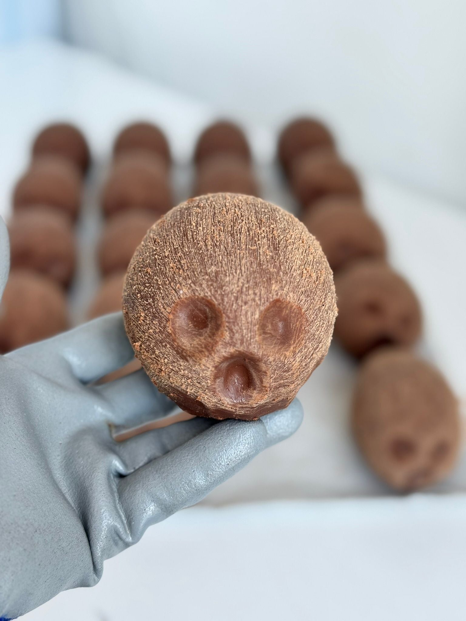 Prajitura NUCA de COCOS